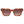 Load image into Gallery viewer, Sunglasses with tortoiseshell frame and brown gradient lenses on a white background