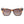 Load image into Gallery viewer, Tortoiseshell sunglasses with gradient lenses on a white background