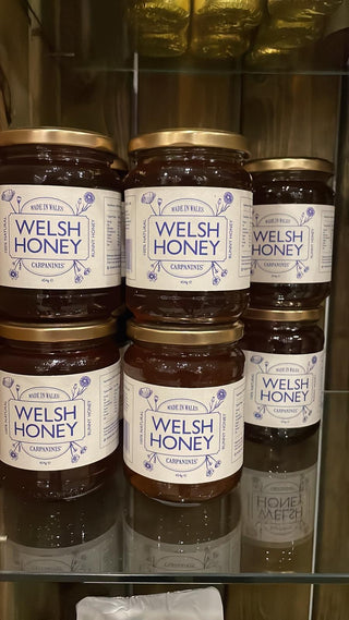 Carpaninis Runny Honey 454g